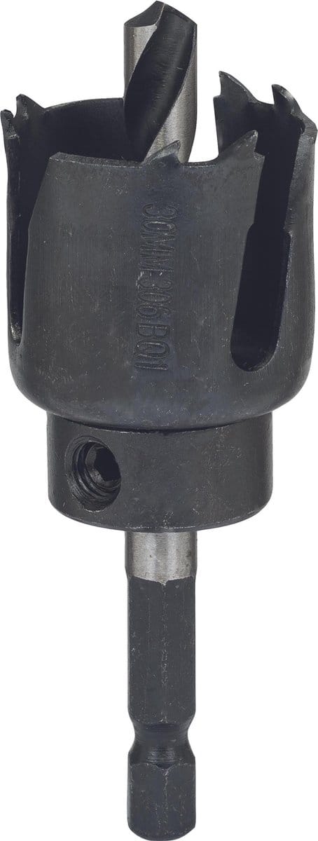 Bosch Accessories 2609256D02 Gatenzaag 30 mm 1 stuk(s)