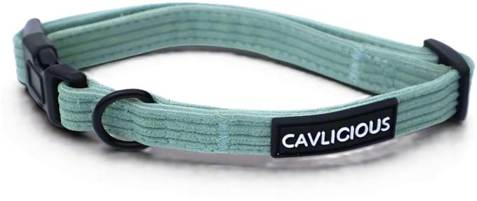 Cavlicious® honden halsband met leiband - corduroy - medium hond - zeegroen - M