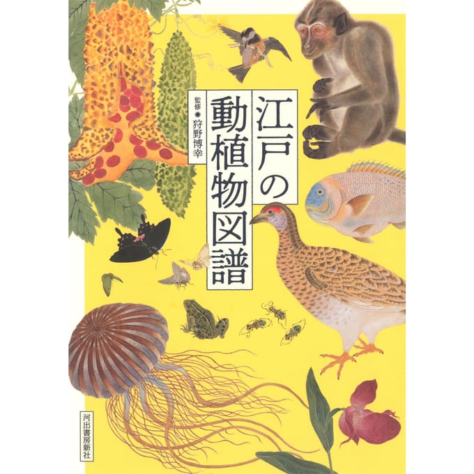 Illustrations de plantes et d'animaux de la période Edo
