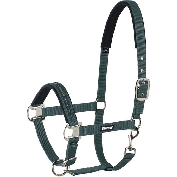 Eskadron Halster Eskadron Pin Buckle Donkergroen