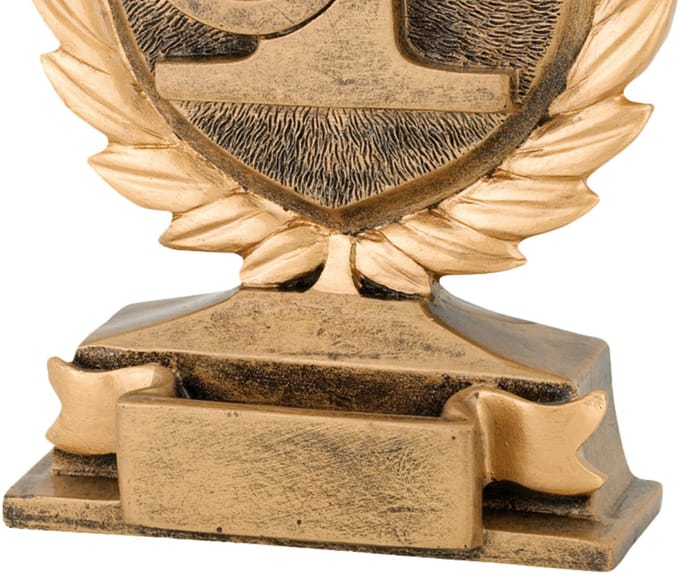 Trofee Nummer 1 Goud 14 cm Eerste Prijs Vis Wedstrijd Viswedstrijd Prijzen Vissen