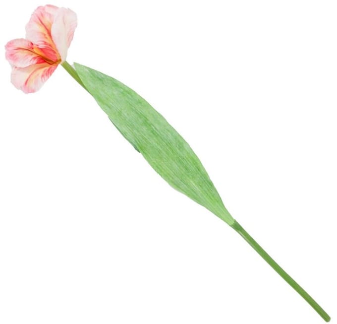 HomeBound by KY | Kunstbloem tulp oranje | kunstbloem