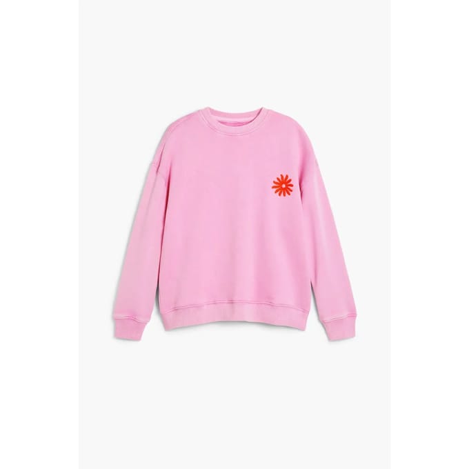 Junior Sweatshirt Desigual Arnold
