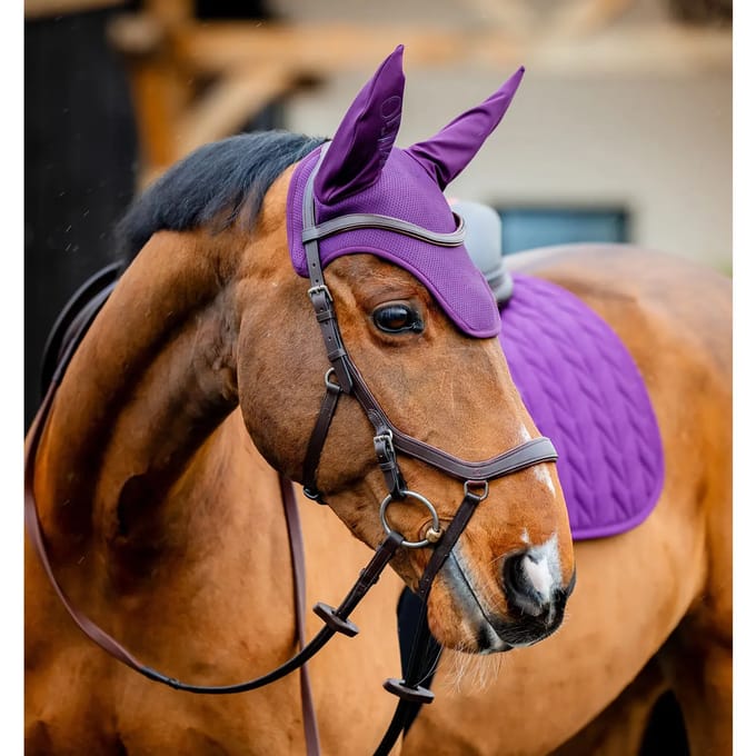 Paardenvliegen hoed Horseware Amigo Earnet