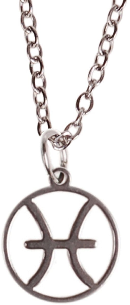 Ketting Zilverkleurig 55cm - Hangertje Sterrenbeeld RVS - Vissen