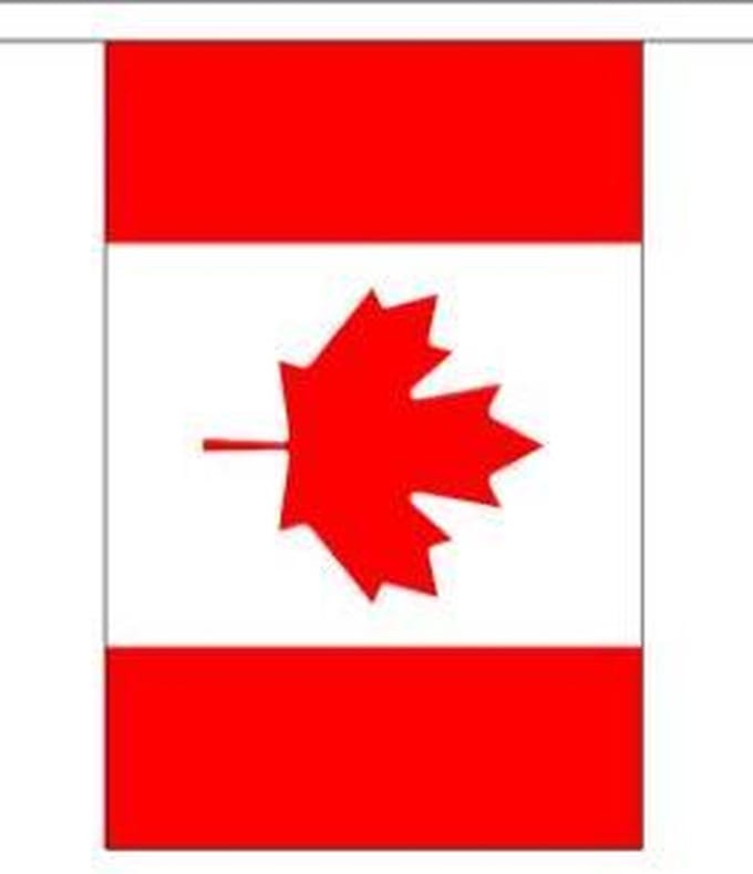 vlaggenlijn Canada - 9 meter | Stof