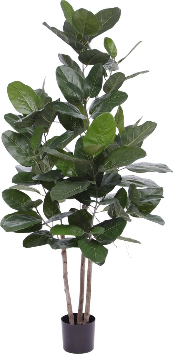 Ficus Audrey kunstplant 160cm