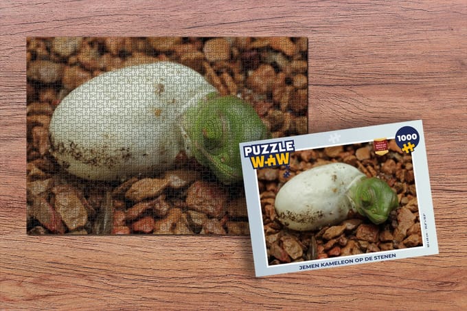 Puzzel Dier - Kameleon - Ei - Legpuzzel - Puzzel 1000 stukjes volwassenen