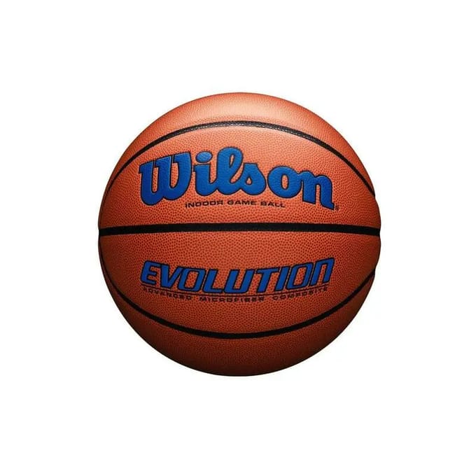 Basketbal Wilson Evolution 295