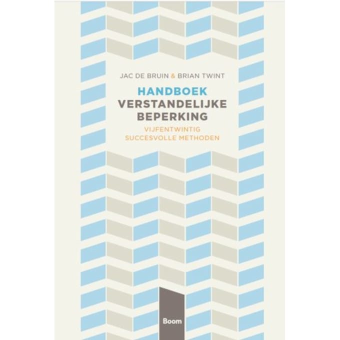 Handboek Verstandelijke Beperking