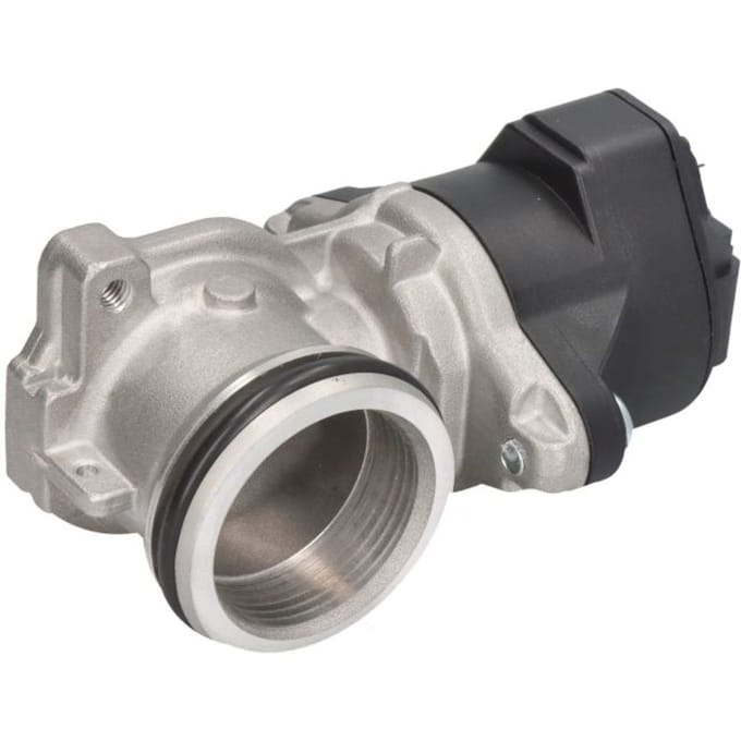 EGR-klep DELPHI EG10555-12B1