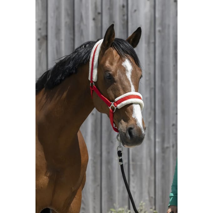 Synthetisch schapenvacht halster voor paarden Riding World
