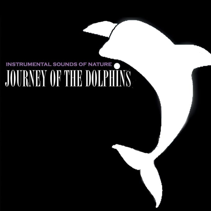 Journey Of The Dolphins