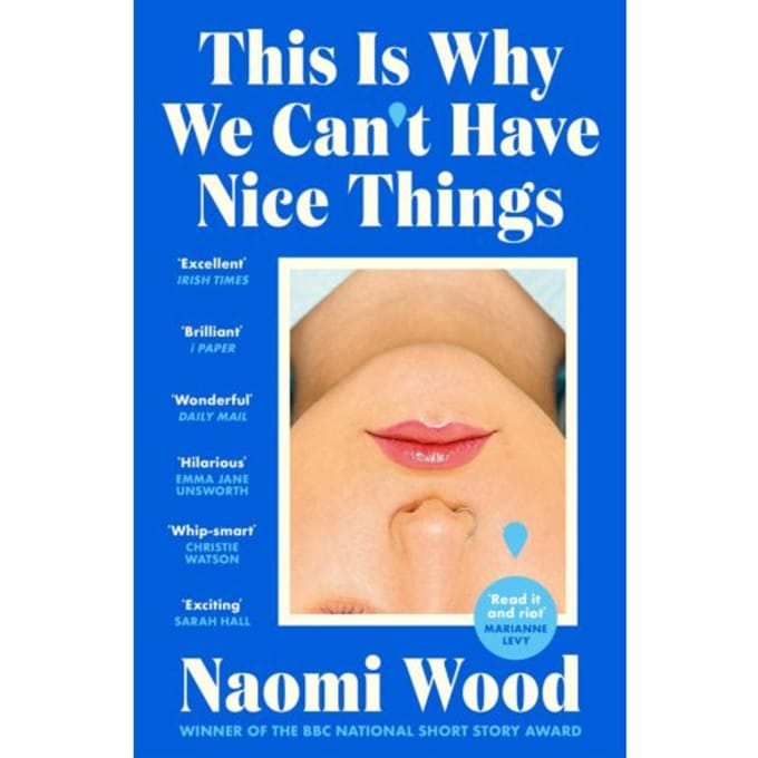 This Is Why We Can't Have Nice Things - Naomi Wood