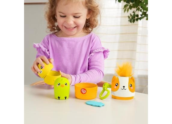 Fisher Price On the Go Nesting pets Grijp- en bijtspeelgoed