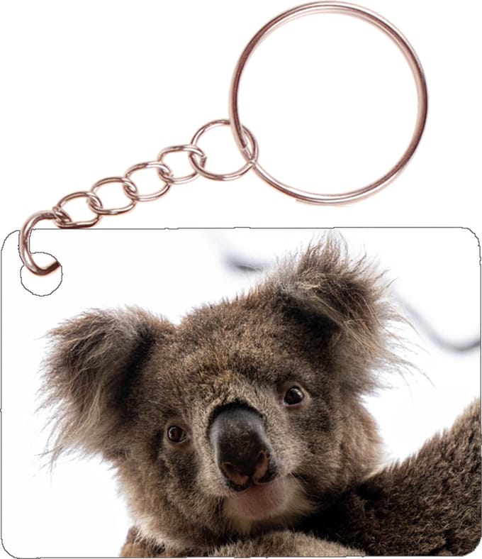 Sleutelhanger 6x4cm - Koala - Foto Close Up