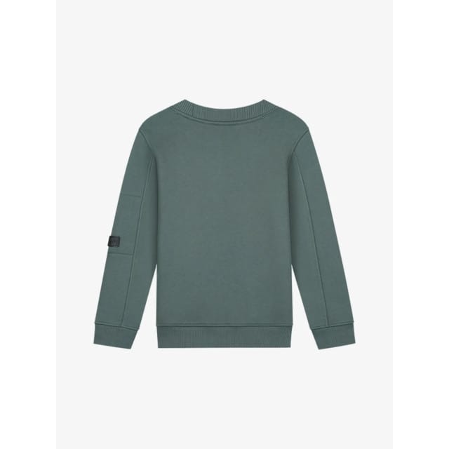 Malelions Jongens sweater turtle