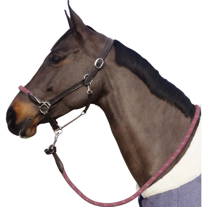 Touwhalster met witte gespen Canter