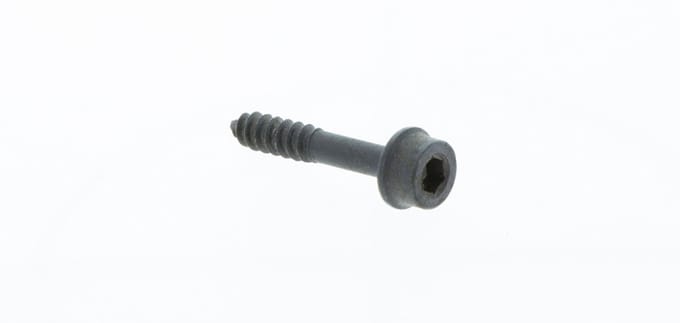 Screw