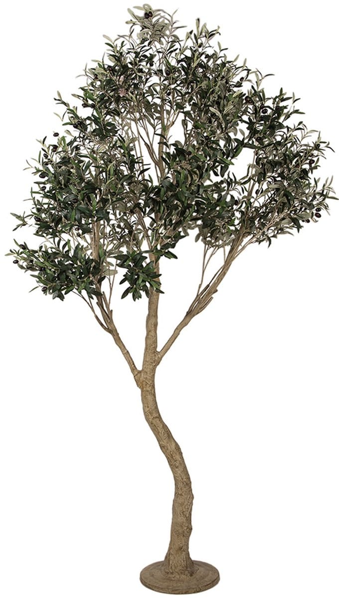 Clayre & Eef Kunst Olijfboom 250 cm Groen Kunststof