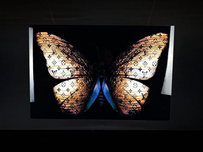 Golden butterfly lv schilderij op plexyglas 90x60cm