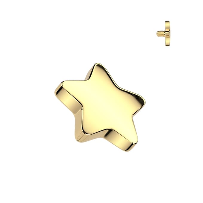 Dermal top 4 mm ster egaal goud 1.6mm - LMPiercings