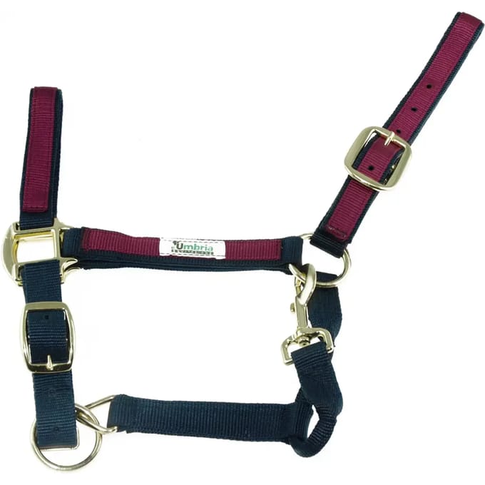 Kleurige nylon halster voor paard Umbria Equitazione