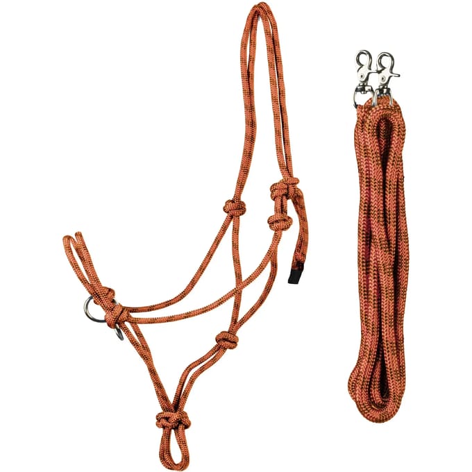 Halsband en longe voor wedstrijdpaard HORKA