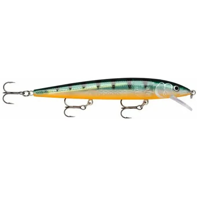 Ophangen van kunstaas Rapala husky jerk 12 cm