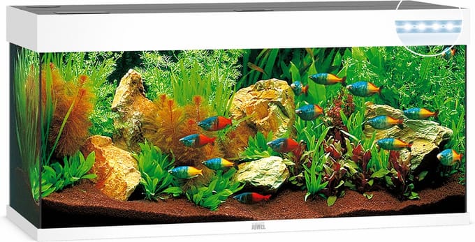 Juwel Rio 240 Led Aquarium - 121x41x50 cm - 240L - Wit