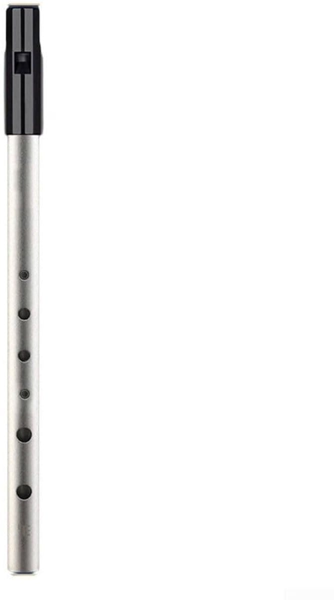 Dailygoods - Authentieke Ierse Tin Penny Fluit, 6Hole C D Bb Key, Uitstekend voor traditionele Ierse muziek (Bb Key Silver)