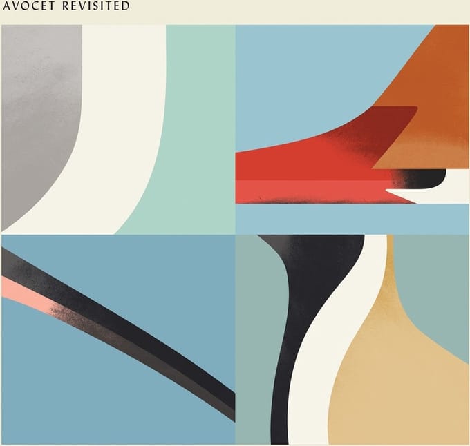 Various Artists - Avocet Revisited (CD)