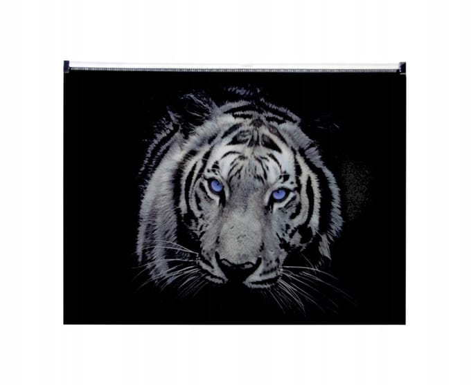 Panta Plast A4 Map met Rits - Veelkleurige PP Organizer