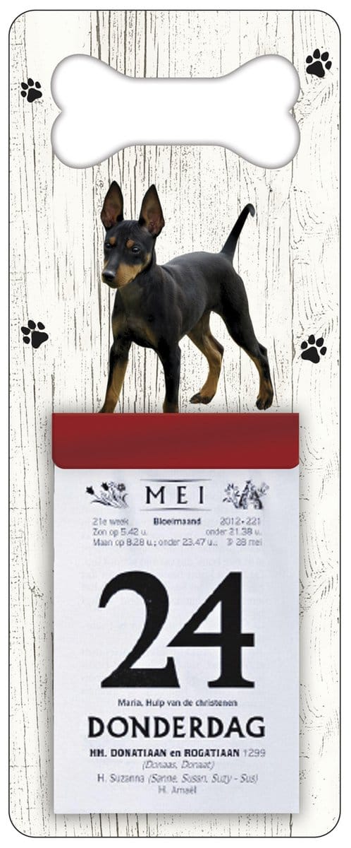 Scheurkalender 2027 Hond: Doberman Pinscher