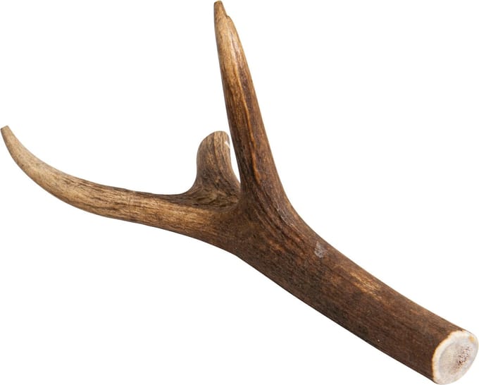 Hertengewei XL