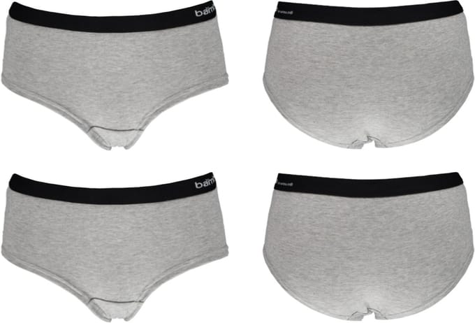 Apollo Dames Hipster Grijs Bamboe 2-pack - Maat S