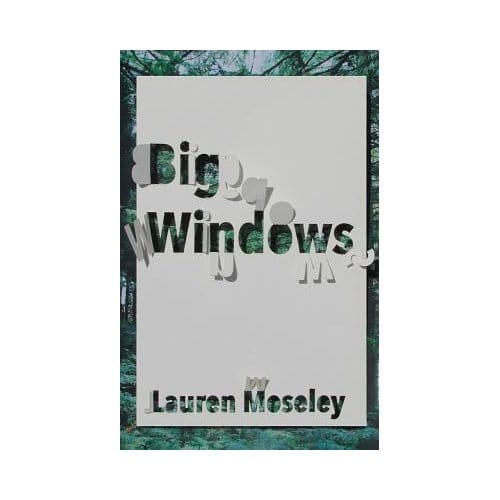 Big Windows - Lauren Moseley