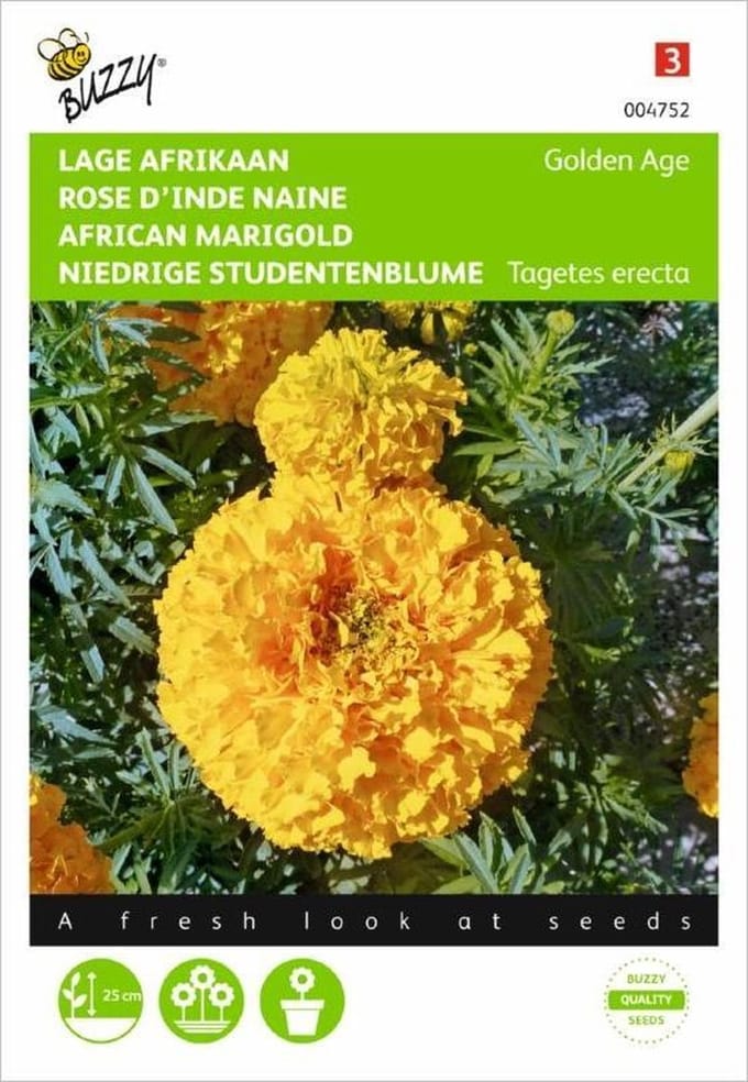Afrikaan Golden Age - Tagetes erecta
