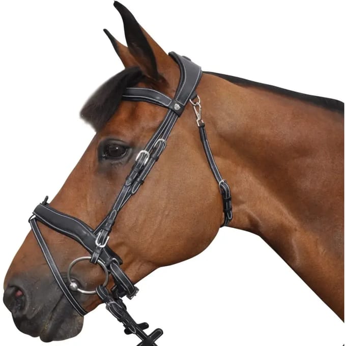 Gecombineerde hoofdstellen Flags&Cup Comfort