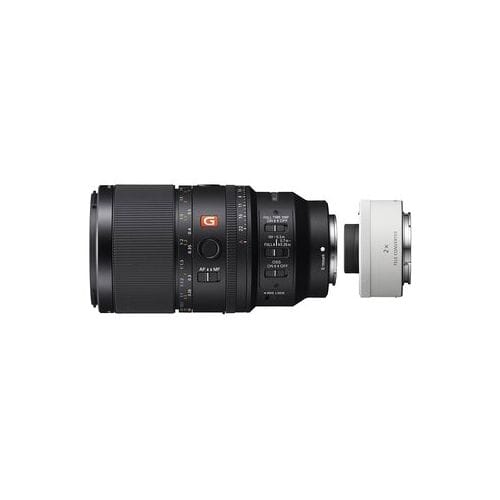 Sony SEL 100mm f/2.8 Macro GM OSS + SEL-20TC 2,0x teleconverter