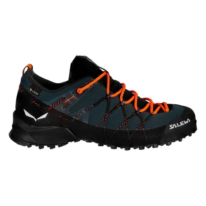 Wandelschoenen Salewa Wildfire 2 GTX