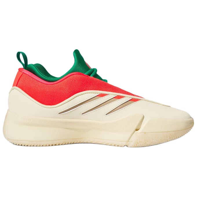 Basketbalschoenen adidas Dame 9