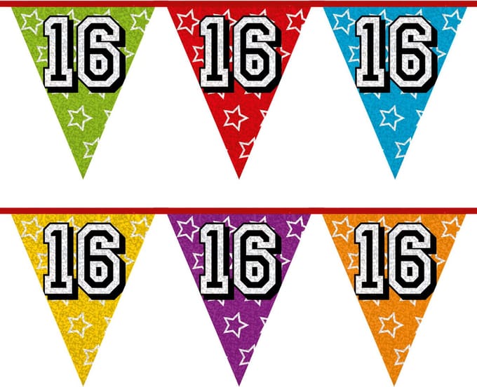 Vlaggenlijn 16 jaar - 8 meter