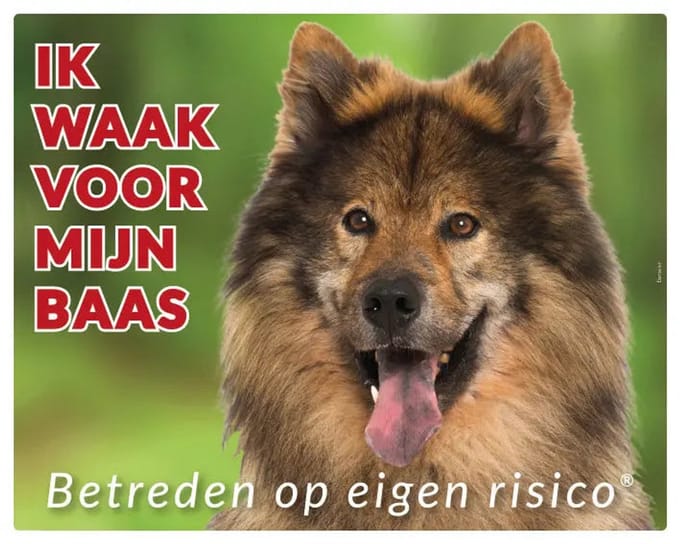 Eurasier Waakbord