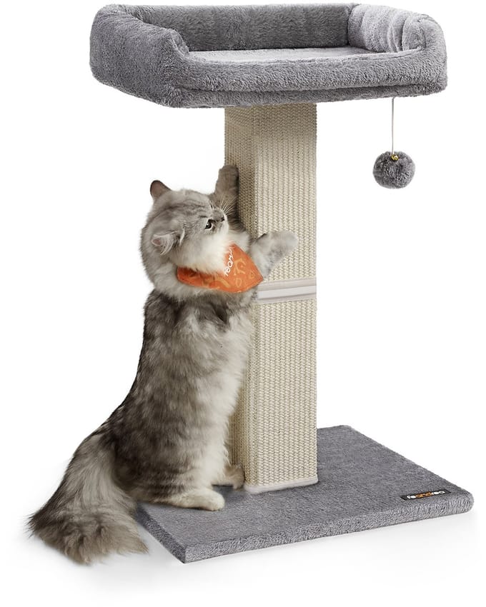 Feandrea - Krabpaal - Kattenboom - Pluche Platform - Krabstam met Speelbal
