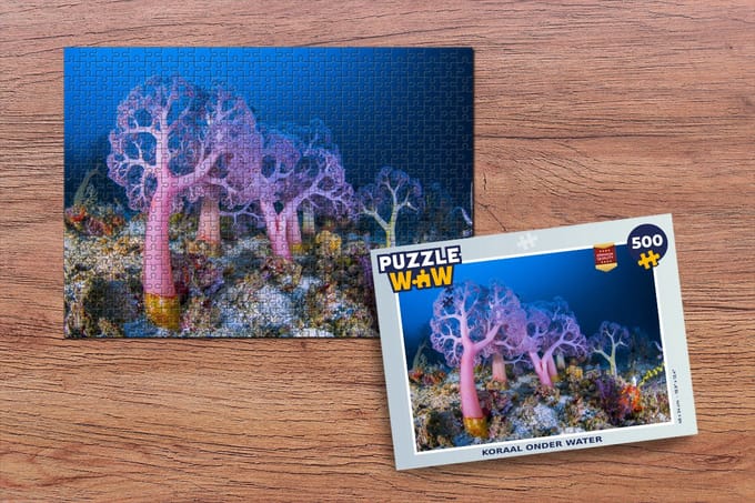 Puzzel Koraal onder water - Legpuzzel - Puzzel 500 stukjes