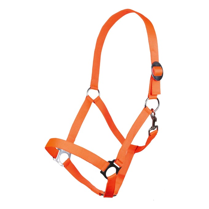 Halster -Stars Economy Softice- neonoranje Pony