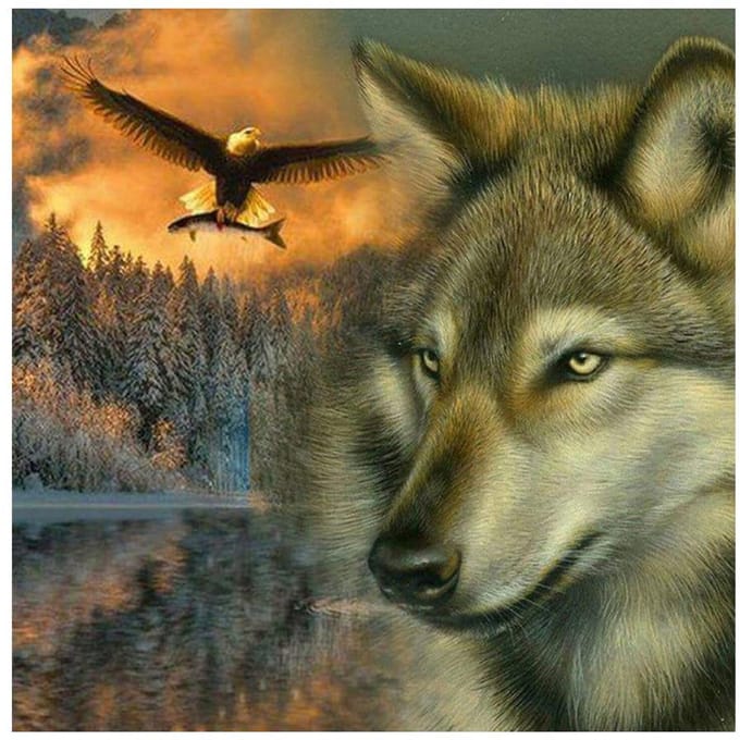 3D DIY Diamond Schilderen Cross Stitch Wolf & Eagle Crystal Diamond Borduren Handwerken Volledige Diamond Set Decoratief 20X30CM orange