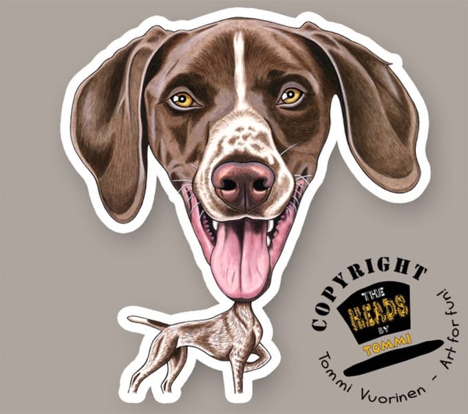 Magneet Hond Duitse Kortharige Pointer