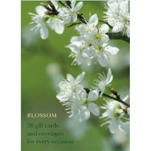Blossom Large Card Box - Anness Publishing